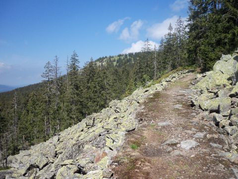 Foto 10